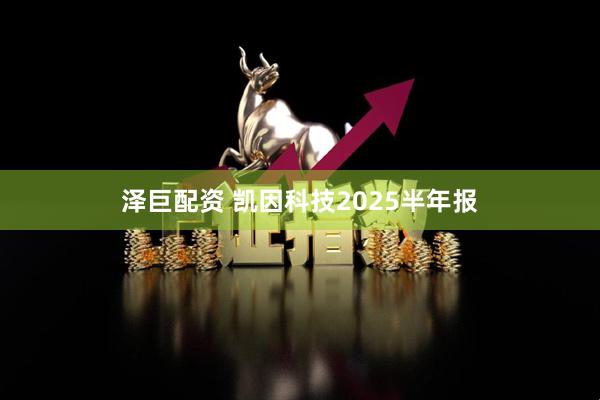 泽巨配资 凯因科技2025半年报