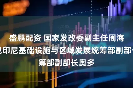 盛鹏配资 国家发改委副主任周海兵会见印尼基础设施与区域发展统筹部副部长奥多
