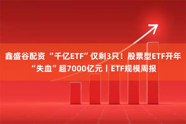 鑫盛谷配资 “千亿ETF”仅剩3只！股票型ETF开年“失血”超7000亿元丨ETF规模周报